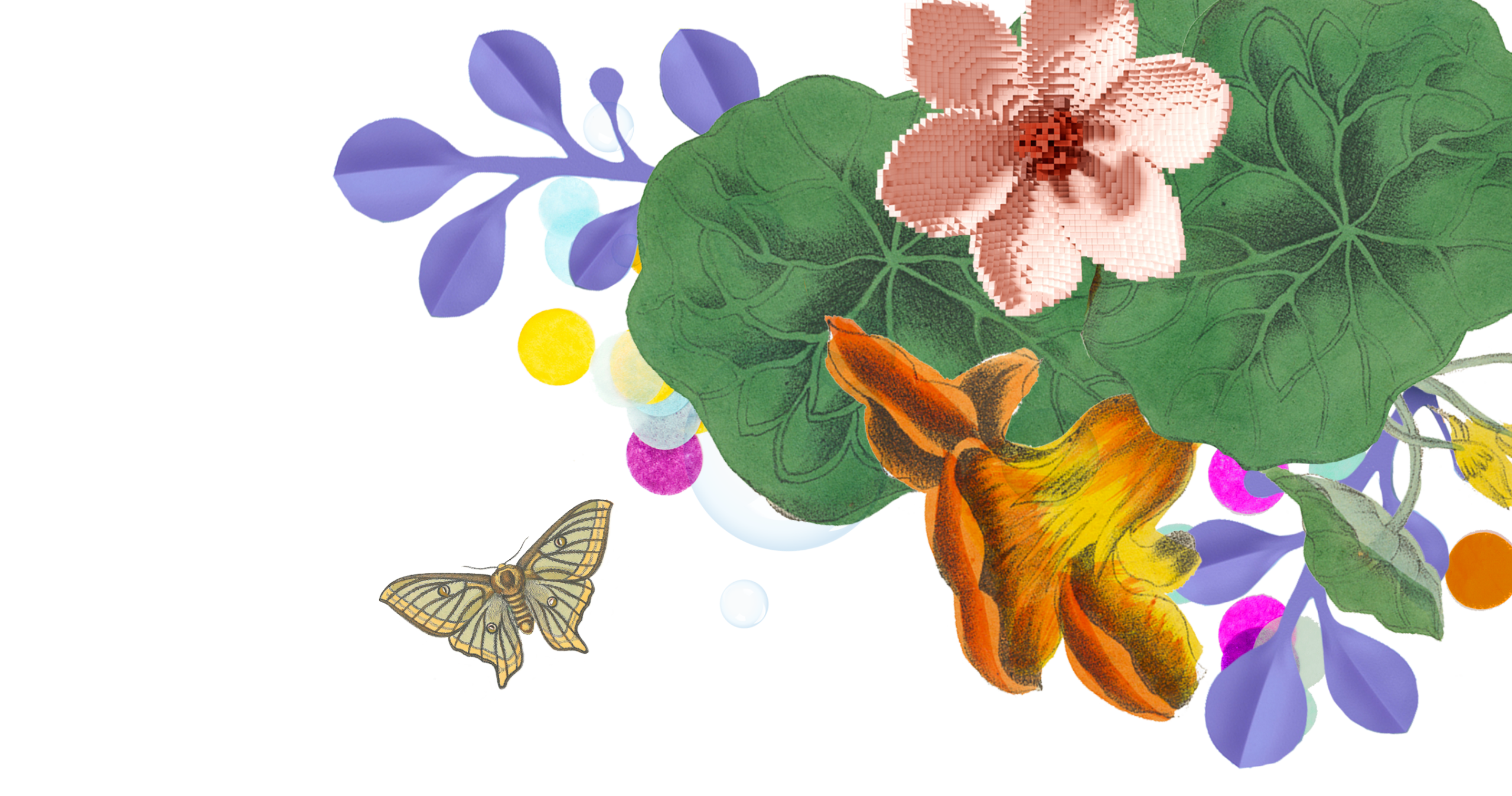 Headermotiv Blumen mit Falter