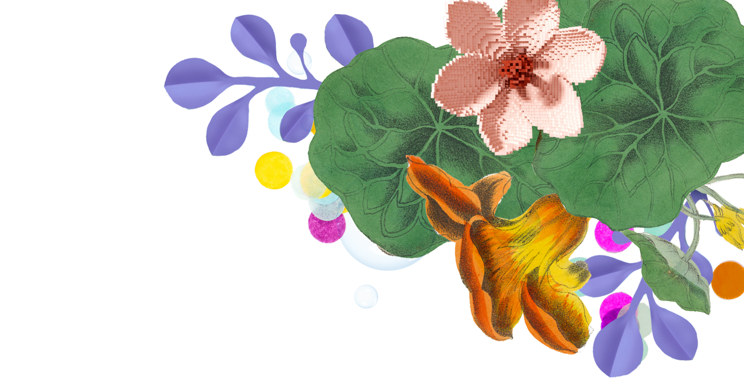 Headermotiv Blumen